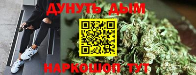 индика Пыть-Ях