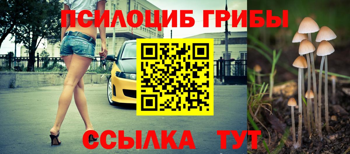 Галлюциногенные грибы мицелий  Вход с VPN  Сердобск 